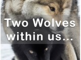 The CBT of the ‘Two Wolves’ philosophy